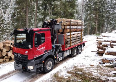 Holztransport im Winter